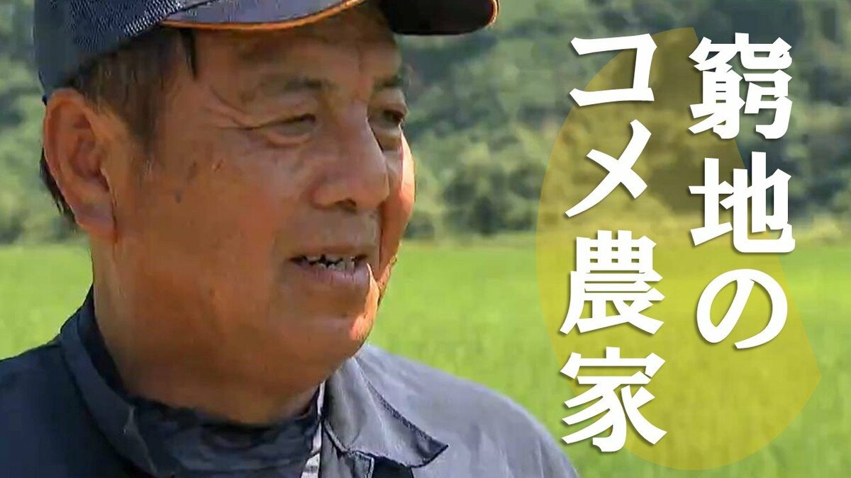 サムネイル_「作れば赤字」米価大幅下落でコメ農家窮地に　新米コシヒカリ販売価格が前年より2000円安　過去最大の“コメ余り”　家計助かる一方で　新潟