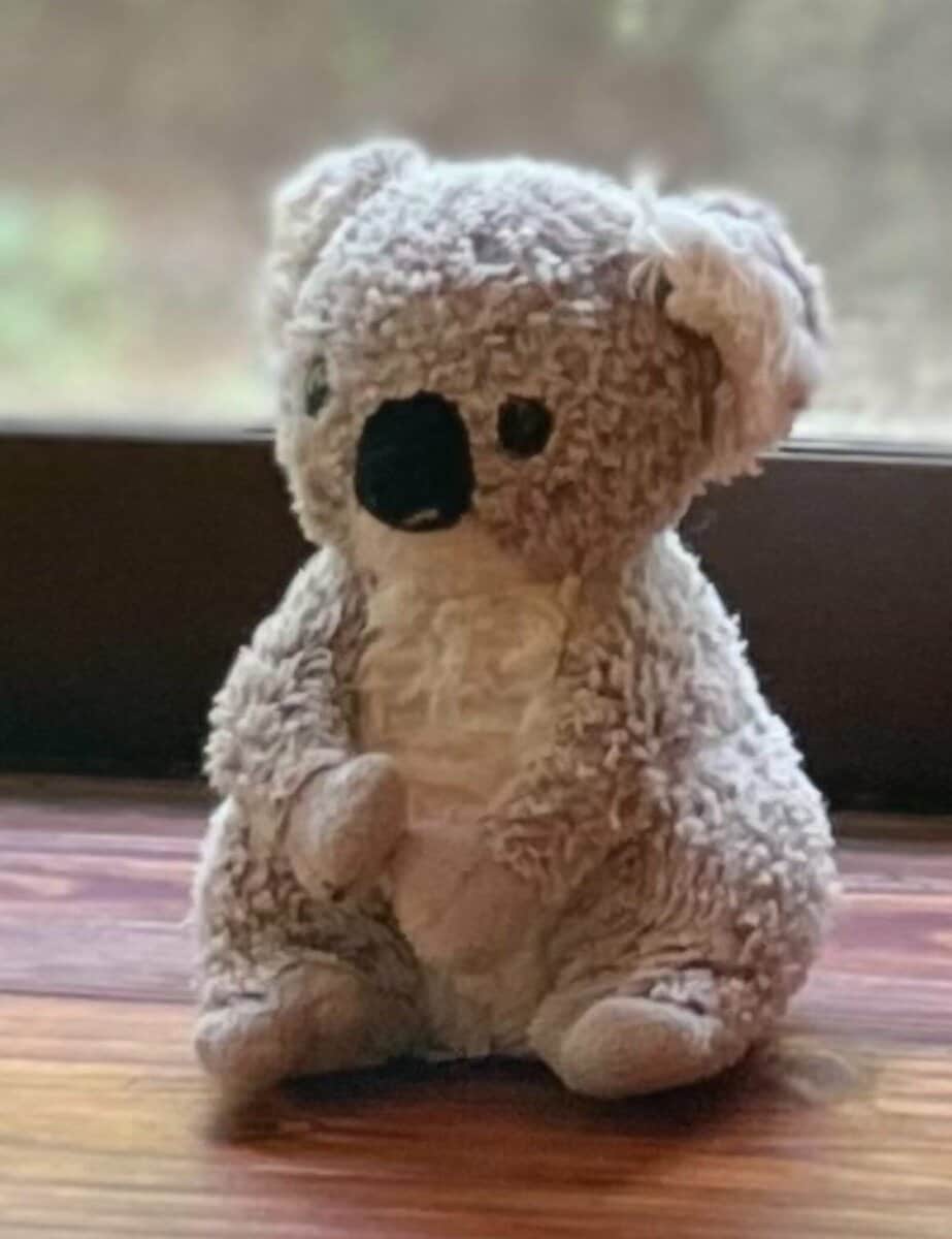 青いコアラ ぬいぐるみ 感謝の涙 青いコアラ ぬいぐるみ 感謝の涙 青いコアラ ぬいぐるみ 感謝の