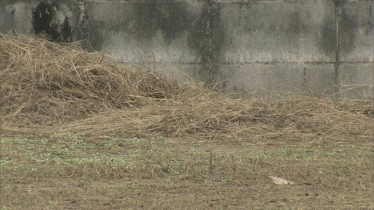 へその緒がついた赤ちゃん死亡 死体遺棄疑いで逮捕された19歳母親を「殺人」の非行内容で家裁送致 岐阜地検