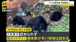 相次ぐクマ被害を受けクマの捕獲や管理に関する国のガイドラインを改定 「自然増加率」を超えるクマの捕獲が認められる|TBS NEWS DIG