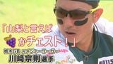 「山梨といえばブドウかチェスト！」　BCリーグ 元メジャーリーガー・川﨑宗則選手率いる栃木と山梨ファイアーウィンズが対戦|TBS NEWS DIG