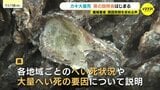 カキ大量死　県の説明会はじまる　養殖業者から原因究明を求める声　広島|TBS NEWS DIG