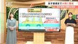 【大雨の時、車の運転は危険】30センチ程度の浸水でも、走行できなくなる可能性…マフラーから浸水すると、エンジンがかからなくなるおそれ…水がドアの半分位まで達すると、水圧で窓やドアが開かなくなる|TBS NEWS DIG