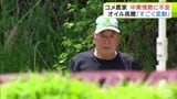 「オイルは2倍くらい高騰…」コメ農家も頭悩ませる中東情勢悪化による石油製品の不足・高騰　トラクターの整備時に必要なオイル高騰・乾燥機の灯油に来年用の肥料…秋に向けて懸案事項は山積　|　青森のニュース│ATV NEWS│青森テレビ