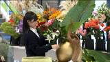 「松の枝を…立てた!」高校生が生け花の腕を競う「全国高校生花いけバトル2024」東北大会|TBS NEWS DIG