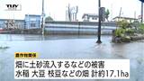 先月末の大雨 農林水産業関連の被害額が3500万円にのぼる 農作物関係は約17.1ヘクタール、農業用施設128か所で被害確認(山形) | 山形のニュース│TUYテレビユー山形
