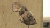 ロシアによるウクライナへの『軍事侵攻を憂う』石膏の作品も パステル画と彫刻の二人展 熊本・八代市|TBS NEWS DIG