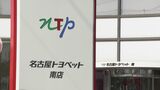 事故車の修理費を過大請求 2年間143台で計80万円　NTP名古屋トヨペット　見積り担当社員が車の確認を怠る|TBS NEWS DIG