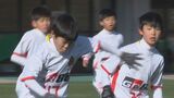 「ワールドカップに出たい」「なでしこジャパンに入りたい」 10歳以下のサッカー公式戦 OKAYA CUP　|　名古屋・愛知・岐阜・三重のニュース【CBC news】 | CBC web
