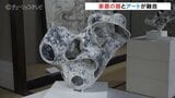 豪農の館で現代アートとの出会い展 若者たちの意欲作と文化財の融合 富山・内山邸|TBS NEWS DIG