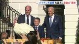 「きょうから自由」七面鳥2羽に“恩赦” アメリカ感謝祭を前にバイデン大統領の恒例行事|TBS NEWS DIG
