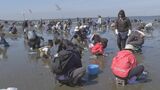 千葉・富津海岸で潮干狩りがオープン　東京湾で最も早い春のレジャー|TBS NEWS DIG