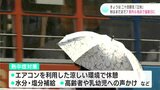 「秋らしい感じが全くないです」二十四節気「立秋」も秋の気配はゼロ!?高知県内6地点で猛暑日に【高知】 | 高知のニュース・天気|KUTV NEWS | KUTVテレビ高知