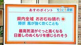 高知の天気 28日は晴れて日中気温が上がる見込み 東杜和気象予報士が解説|TBS NEWS DIG