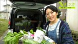 “野菜をつなぎ、人をつなぐ” 自然栽培の野菜に魅せられて…3児のママが幸せ届ける『つなぐ便』 | 新潟のニュース・天気|BSN NEWS|BSN新潟放送