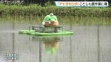 水田を自在にスイスイ 「アイガモロボ」ことしも農作業に精 富山県の高校で「ドジョウ米」有機農法 | 富山のニュース|天気・防災|チューリップテレビ