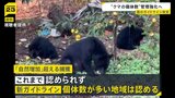 相次ぐクマ被害を受けクマの捕獲や管理に関する国のガイドラインを改定 「自然増加率」を超えるクマの捕獲が認められる|TBS NEWS DIG