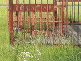 クマ出没の山形空港 箱ワナ設置も未だ捕獲されず 今後は通常通りの運航を予定 | 山形のニュース│TUYテレビユー山形