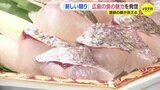“新しい競り”　漁師の「顔」で市場から発信　瀬戸内さかなの魅力「料理人の評価で人とのつながり」実証実験　|　RCC NEWS | 広島ニュース | RCC中国放送