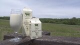 初日限定で牛乳61円引き　乳製品3000円以上の購入で牛の餌やり体験も　清泉寮でジャージーミルクフェア　山梨・清里|TBS NEWS DIG
