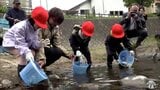 「アユ大好きだよ」児童がアユの稚魚6000匹を放流 青森県風間浦村 | 青森のニュース│ATV NEWS│青森テレビ