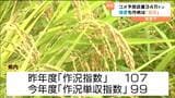 「主食用コメ」2025年度の“予想収穫量は増加”の見込みも作柄は“平均値を下回る”? 宮城|TBS NEWS DIG