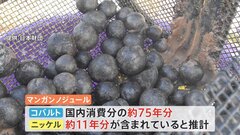 南鳥島沖にレアメタル豊富な鉱物が大量に…EEZ内　2026年以降に商用化検討| TBS CROSS DIG with Bloomberg