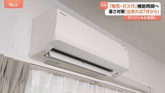 今年も「電気・ガス代」補助検討へ　夏の酷暑対策　自民・公明両党幹事長が合意　ガソリン価格引き下げも5月に前倒しを目指す| TBS CROSS DIG with Bloomberg