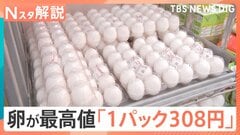 卵「1パック308円」調査開始以降で過去最高値、「冷凍液卵」が需給・価格安定の切り札に？【Nスタ解説】| TBS CROSS DIG with Bloomberg