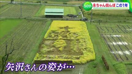 もみ殻を「黒く塗りつぶせ」！矢沢永吉さんの新たな聖地に 熱烈農家と