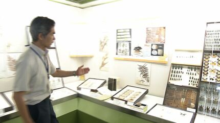 【中古】 博物館体験 学芸員のための視点/雄山閣/ジョン・Ｈ．フォーク 博物館体験－学芸員のための視点』｜museologue