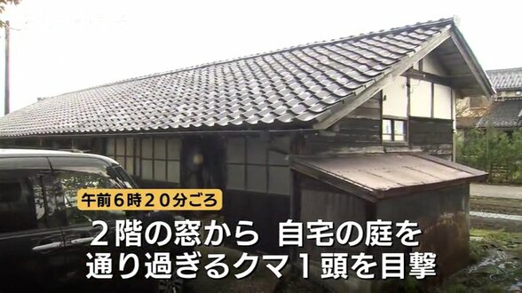 納屋に潜むクマ1頭　砺波市で初の緊急銃猟 猟友会 “はしご使い” 小窓から駆除　県内3例目けが人なし　富山・砺波市　|　富山のニュース｜天気・防災｜チューリップテレビ