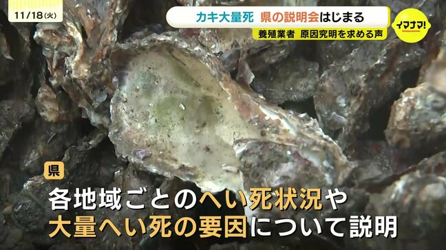カキ大量死　県の説明会はじまる　養殖業者から原因究明を求める声　広島|TBS NEWS DIG