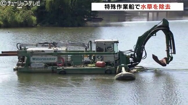 “水草” …根元から除去で根本対策！富岩運河に特殊作業船を導入　環水公園の景観、観光船の航行を守る　富山|TBS NEWS DIG