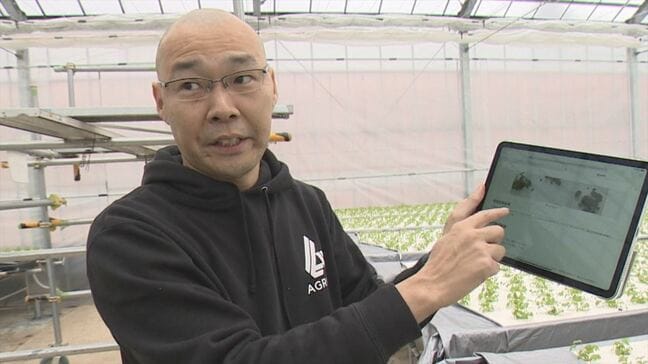9000株のパクチーの生育状況を撮影しAIで画像解析　作業効率化に向け農作物の収量を予測する実証実験　山梨|TBS NEWS DIG