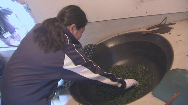 釜炒り茶づくりを体験 地元中学生が江戸時代から続く伝統製法学ぶ 大分・佐伯市|TBS NEWS DIG