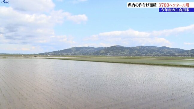 岩手県内の2025年産主食用米の作付け面積は2024年より3700ヘクタール増えて4万6800ヘクタール|TBS NEWS DIG