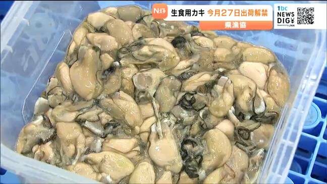 宮城県産カキ 10月27日に出荷解禁 成育の遅れで9月29日から延期|TBS NEWS DIG