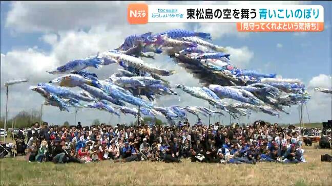 「見守っていて」鎮魂と復興の思い込めた“青いこいのぼり”今年も青空を舞う 宮城・東松島市|TBS NEWS DIG