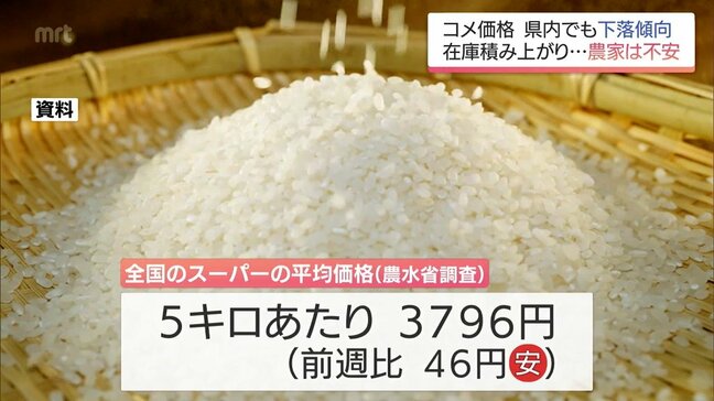 コメ価格が全国的に下落傾向 早期米の産地 宮崎県内の生産者からは不安の声も|TBS NEWS DIG