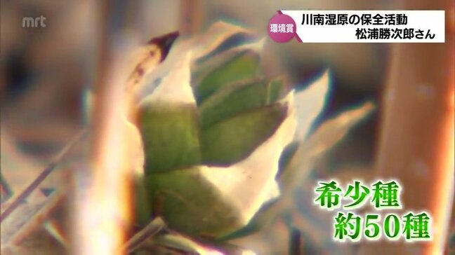 「30年、50年のちに残っていれば、世界で有数の湿原に」　川南湿原で30年以上ほぼ毎日"保全活動" 松浦勝次郎さん　2024年度「MRT環境賞」受賞者(1)|TBS NEWS DIG