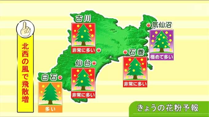 【16日宮城の天気】午後から晴れて4月上旬並みの暖かさに　風はやや強く吹き 花粉は“大量飛散”　tbc気象台|TBS NEWS DIG