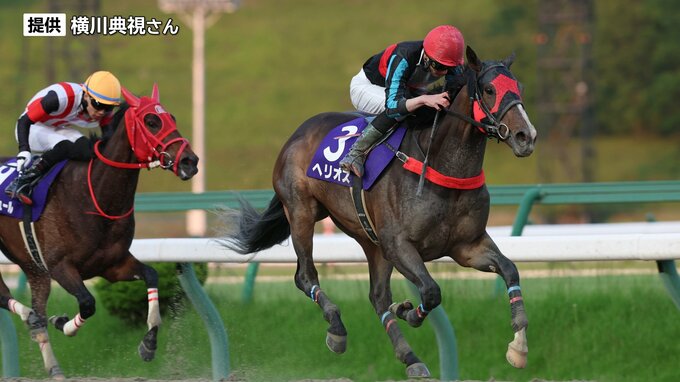 オルフェーヴル産駒の9歳せん馬が岩手競馬から中央GⅠに参戦　中京ダート1800ｍで争うチャンピオンズカップ　　|　IBC NEWS | IBC岩手放送