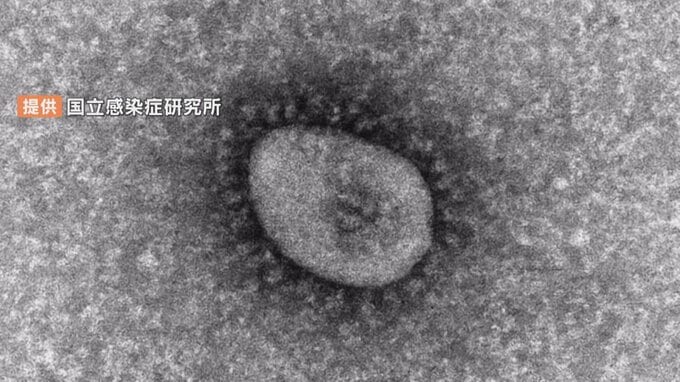 新型コロナ　大分県内で1,812人感染　4人死亡　|　大分のニュース｜OBS NEWS｜大分放送
