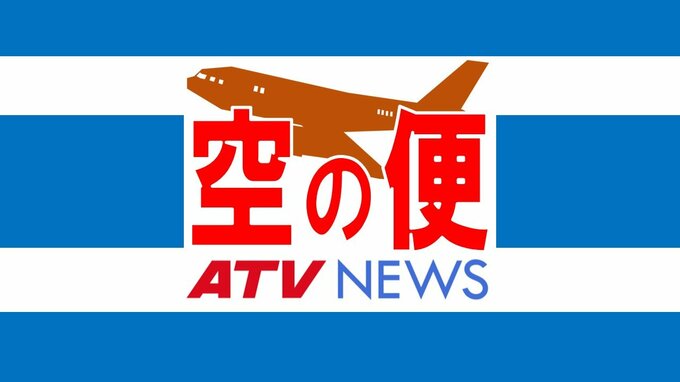 青森空港発着の全日空2便が欠航　理由は「使用する飛行機の手配がつかないため」16日|TBS NEWS DIG