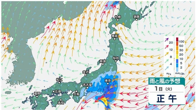 冷たい雨で新年度スタートへ…寒暖差大きく体調管理に注意を【雨と風のシミュレーション】次の週末は晴れの見込み　関東はお花見日和に|TBS NEWS DIG
