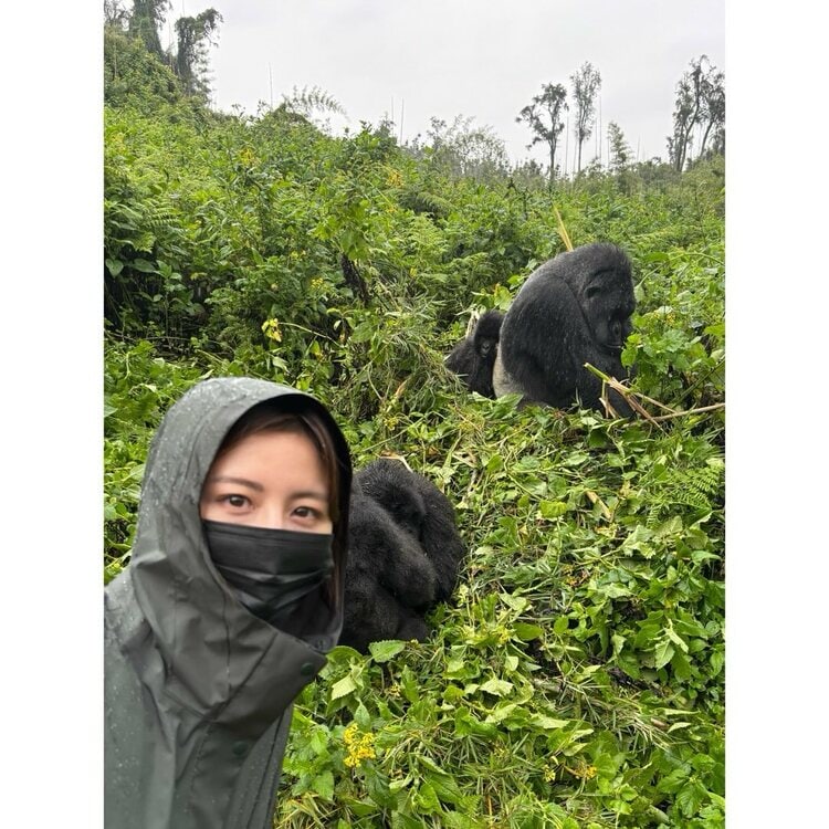 宇賀なつみ 】ルワンダで『マウンテンゴリラ』に遭遇 「山の中を