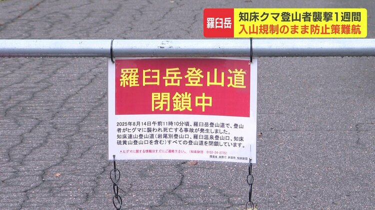 知床クマ死亡事故】羅臼岳の入山規制 解除のめど立たず…「クマが