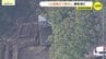 「重機の下敷きになっている」木を切り出す作業中か　高齢男性が心肺停止の状態で搬送も死亡確認　広島県廿日市市の山中で　|　RCC NEWS | 広島ニュース | RCC中国放送