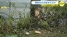 「もしかしたら巻き込まれていたかも」こども園送迎バス事故　園児5人を含む10人けが　一夜明けた現場から　|　RCC NEWS | 広島ニュース | RCC中国放送